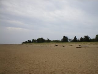 P1010090