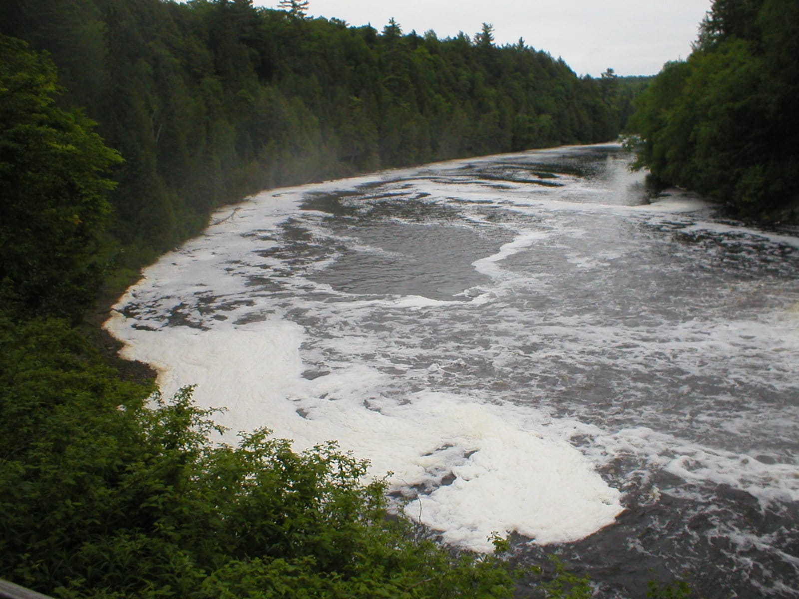 P1010117