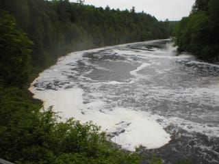 P1010117