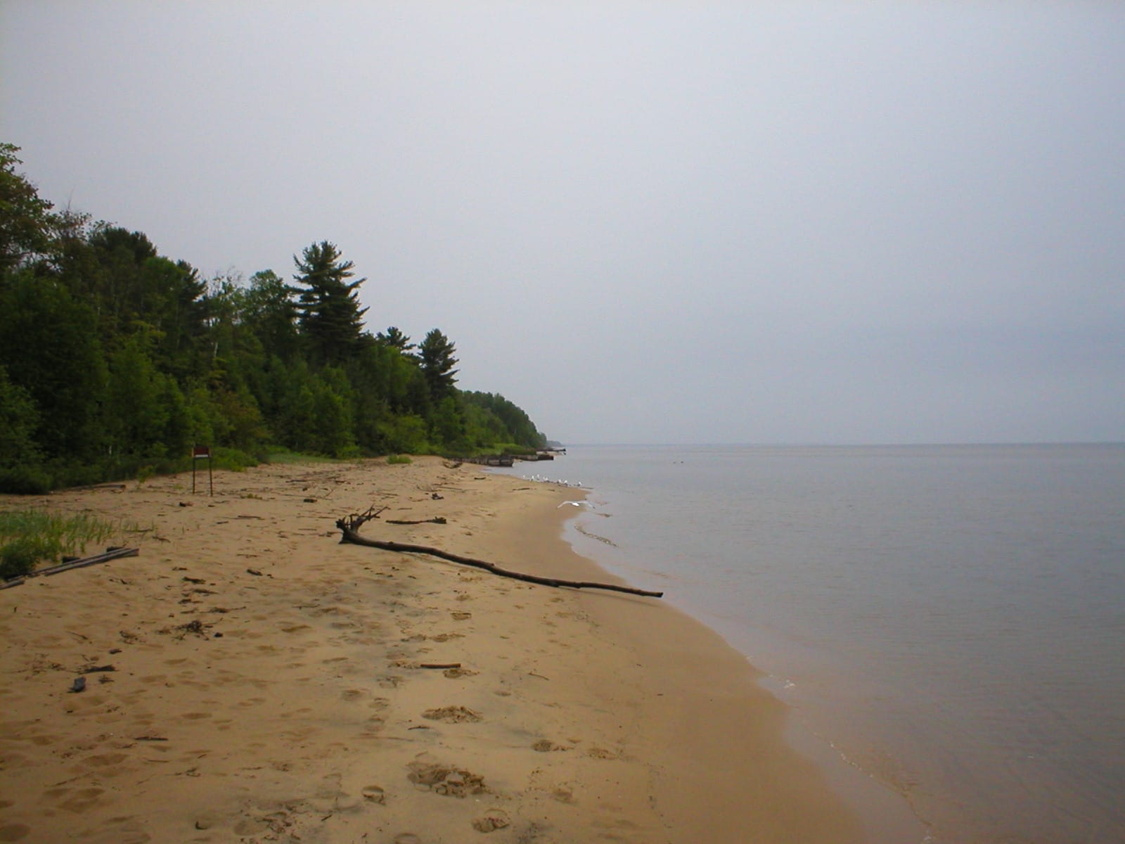 P1010077