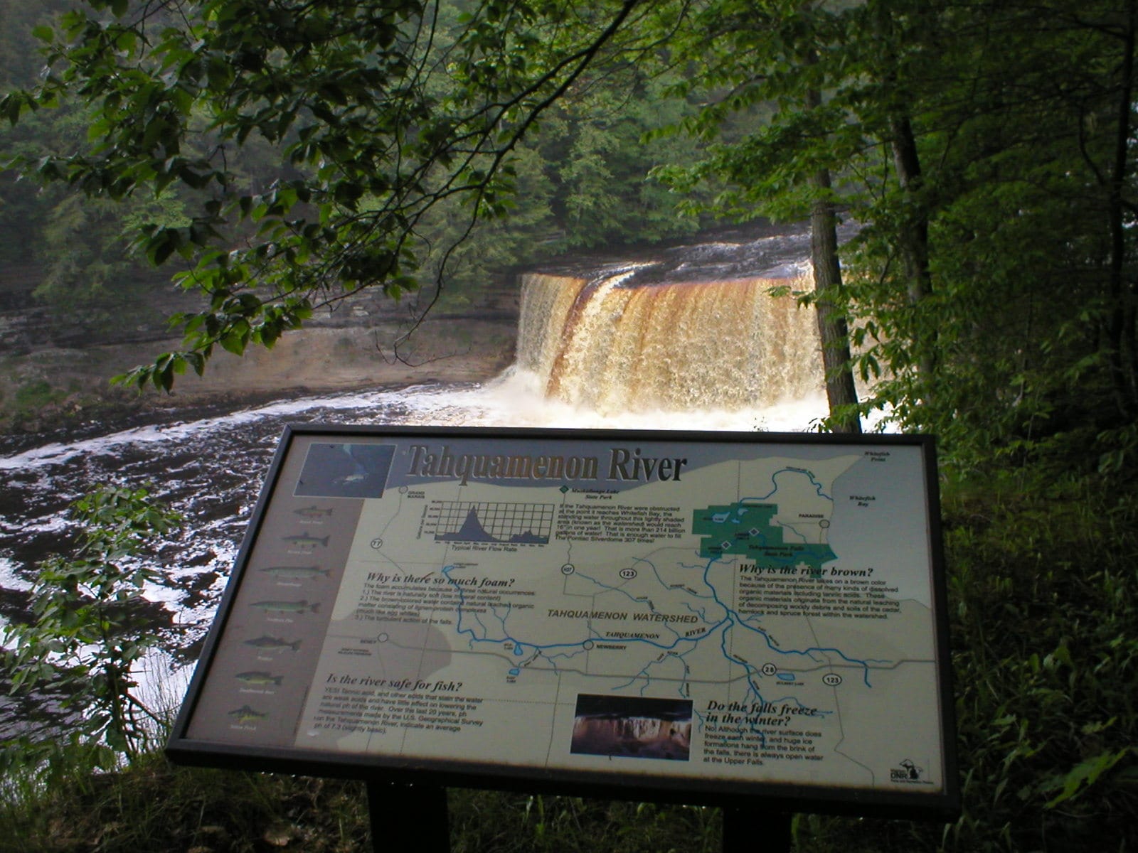 P1010112