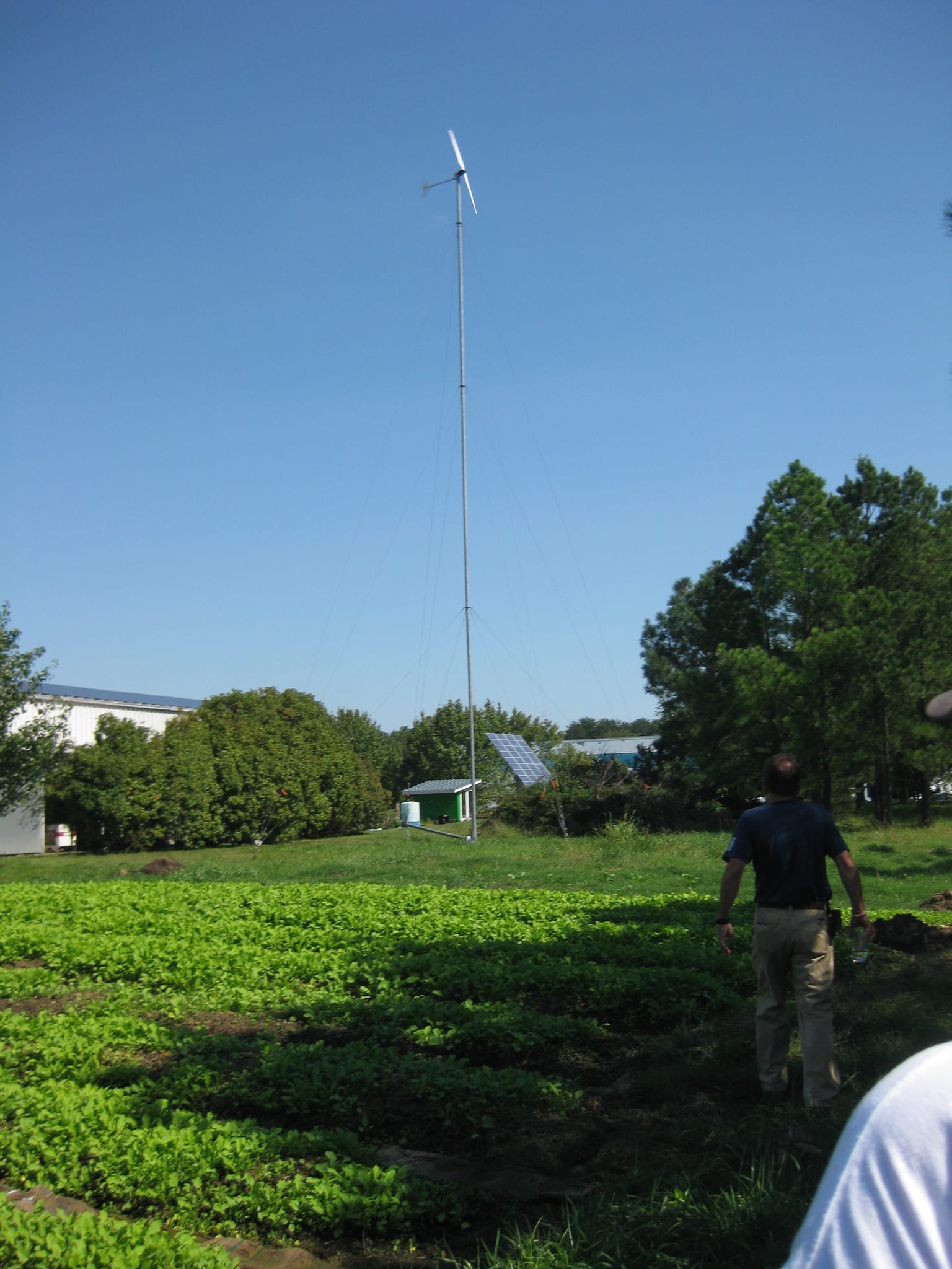 garden and windmil again