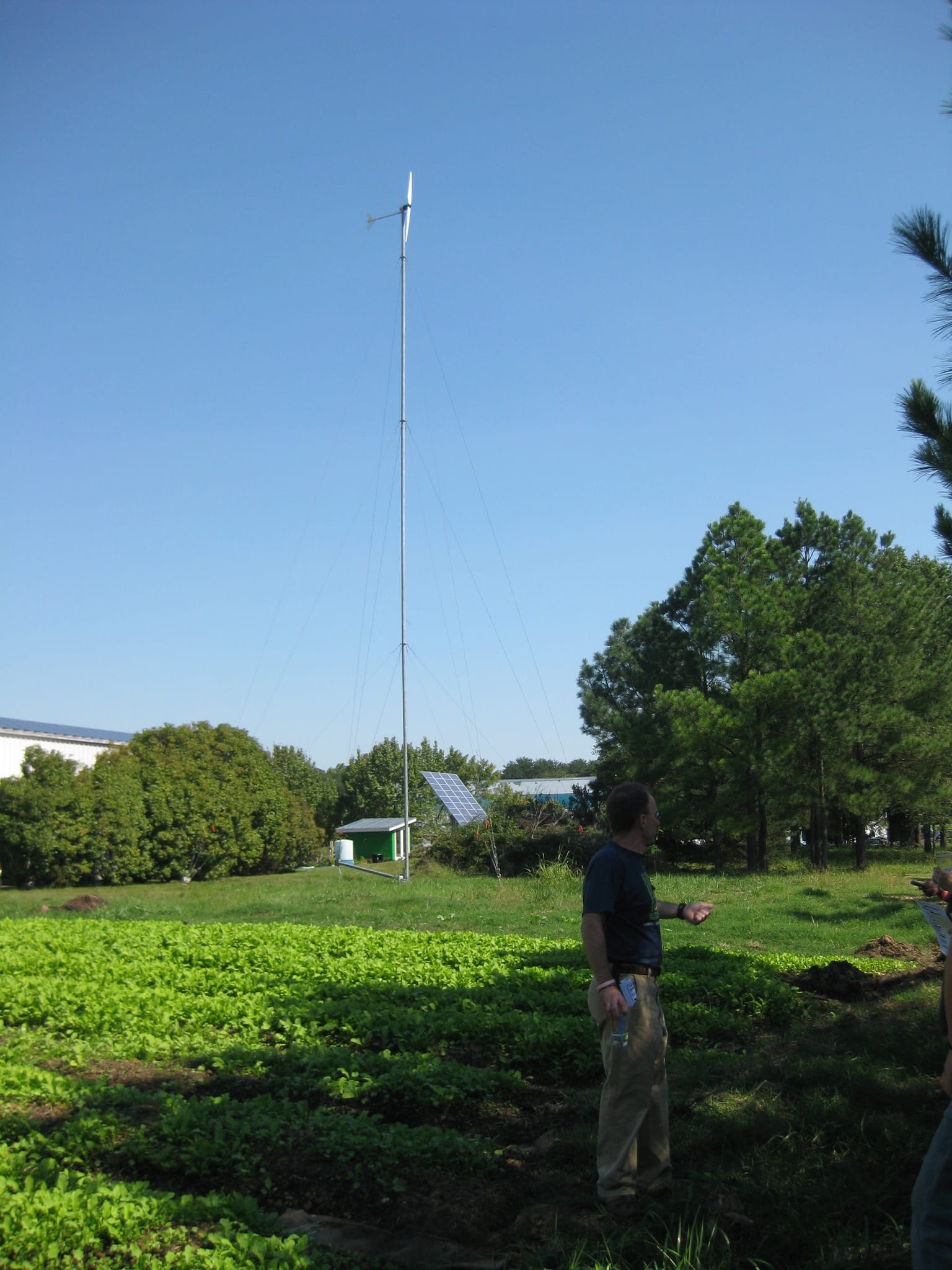 Garden and windmill
