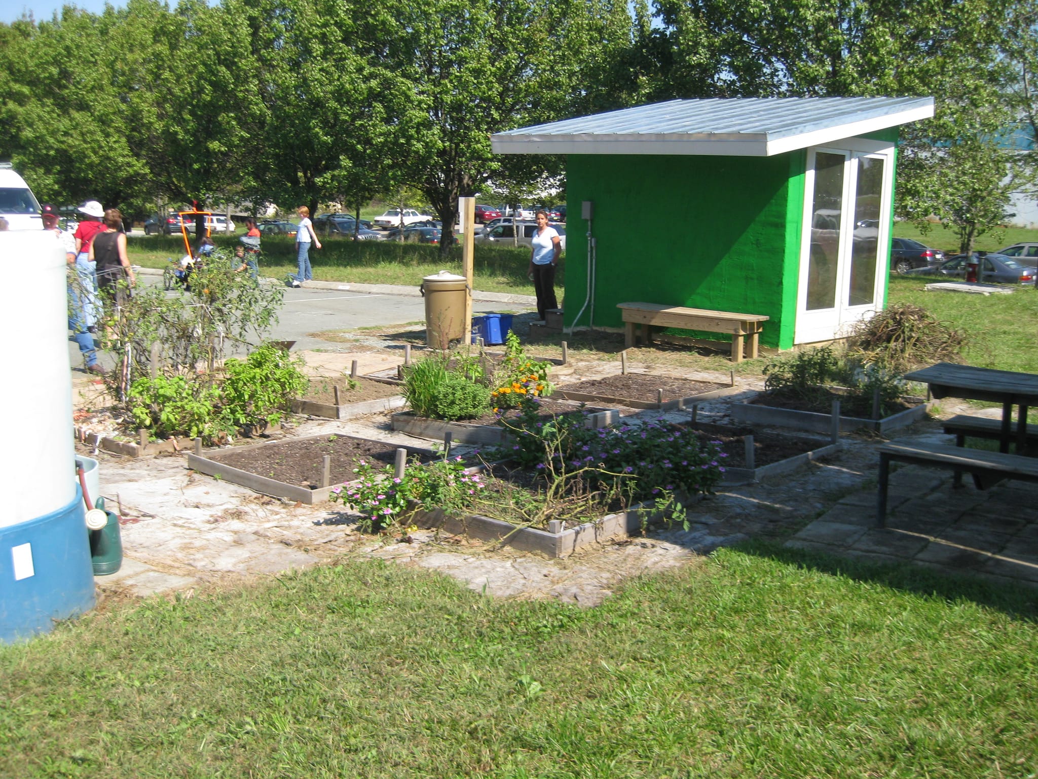 The green hut
