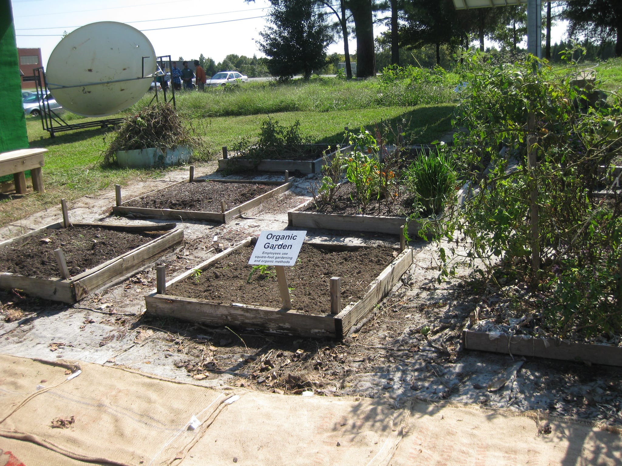 Planting Beds again