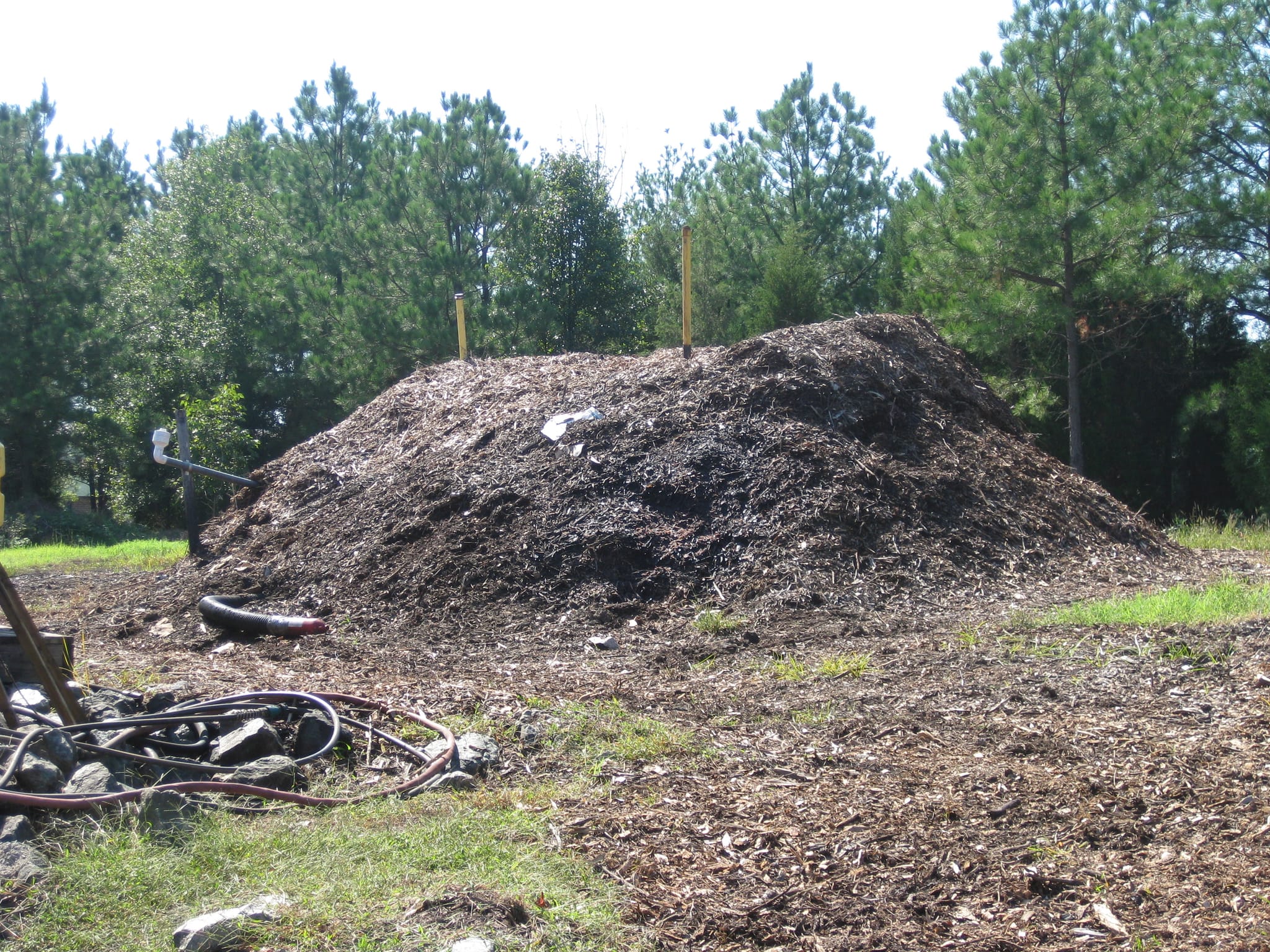 the mulch pile