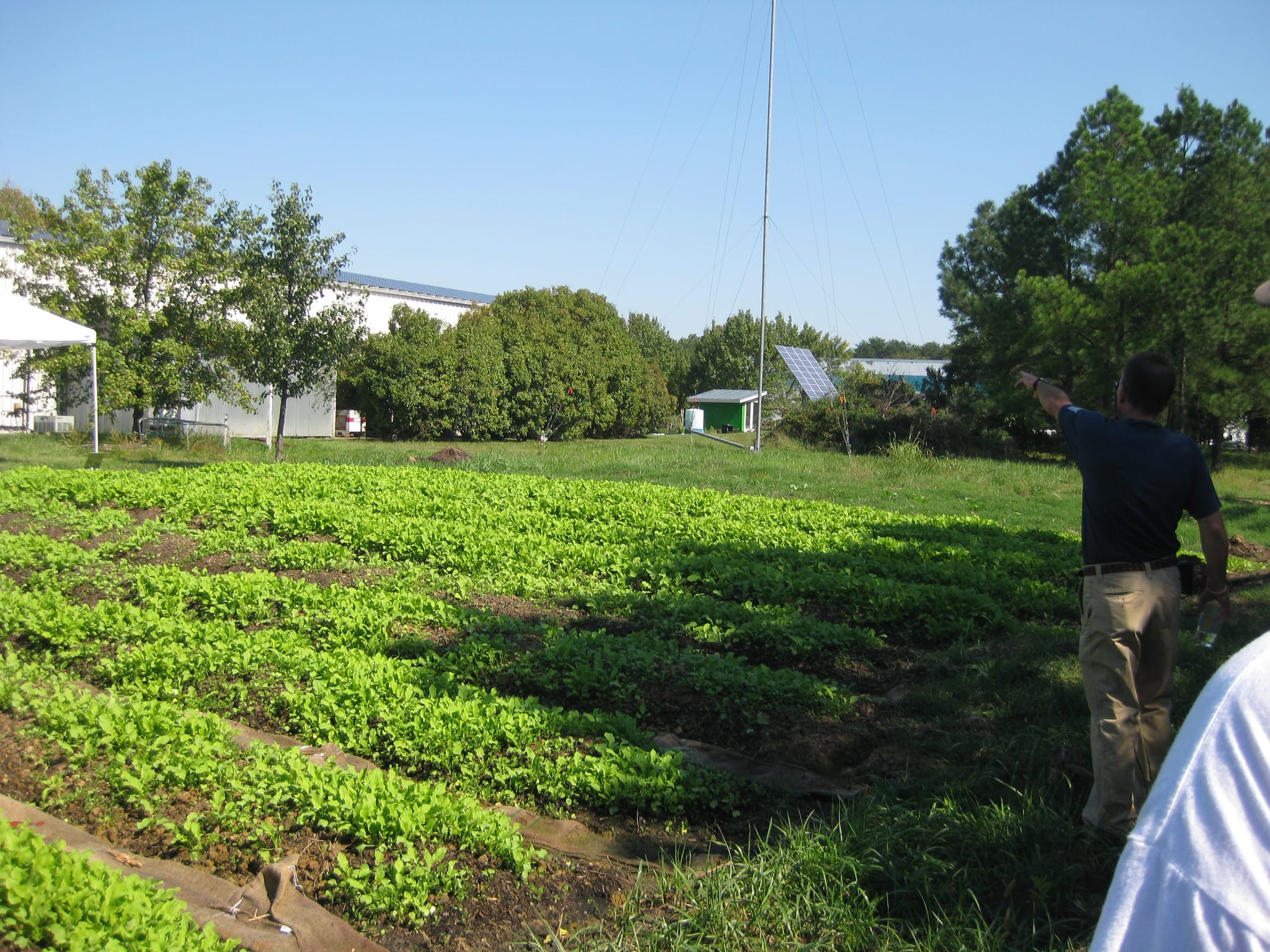 more garden