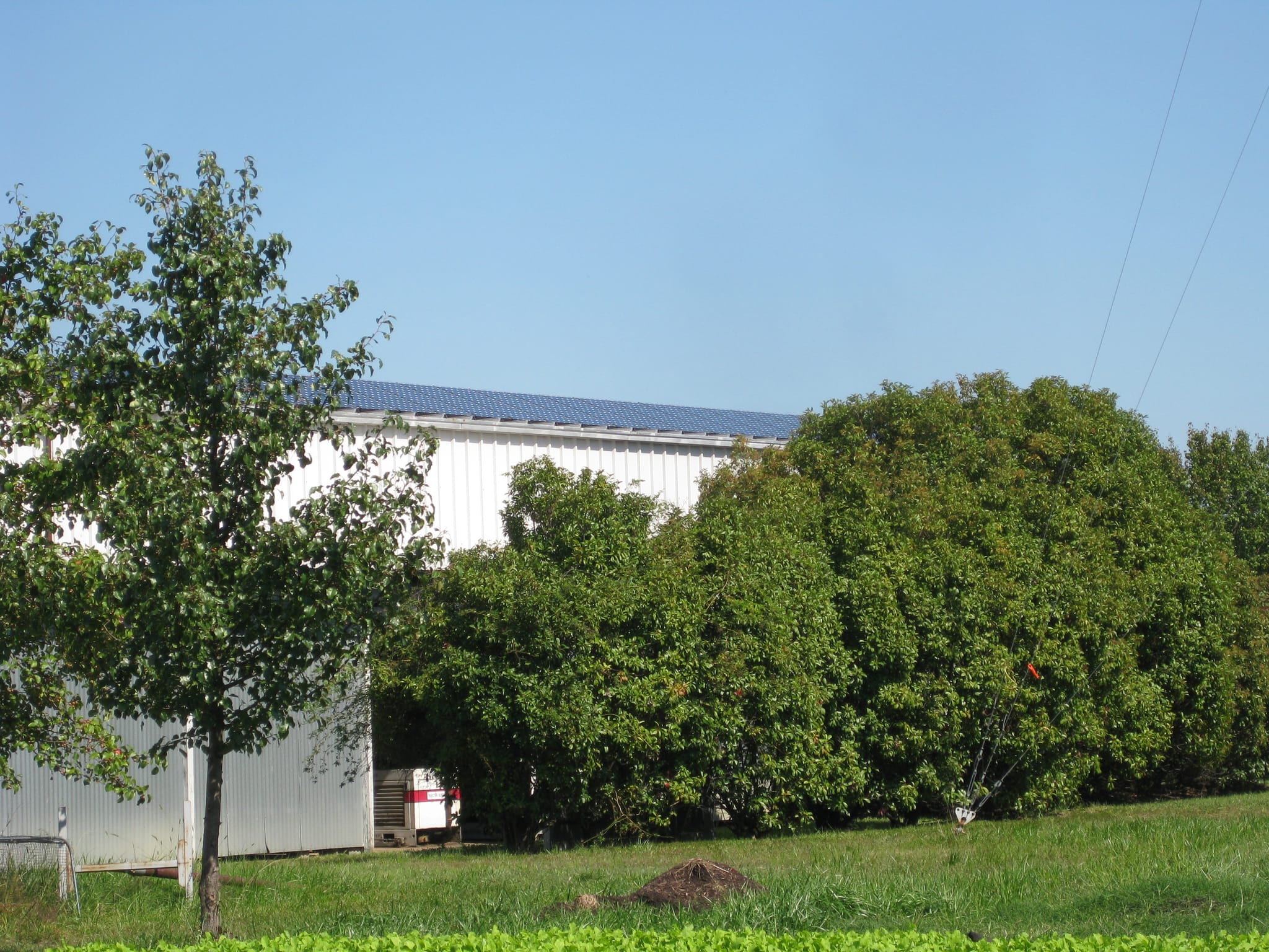 solar panels
