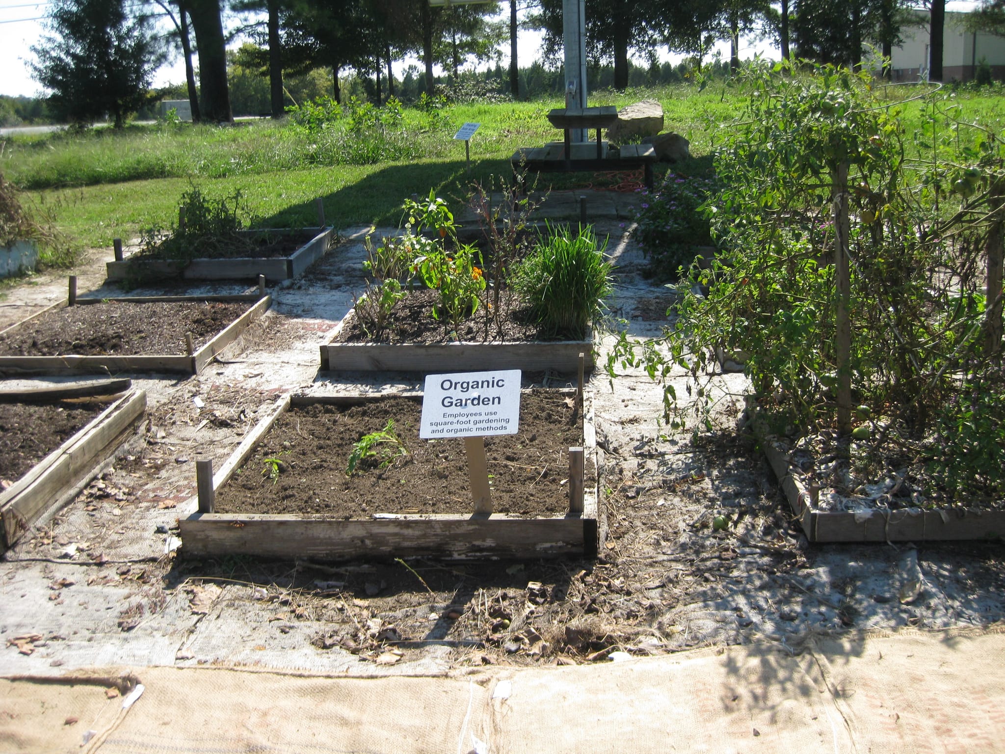 Planting beds