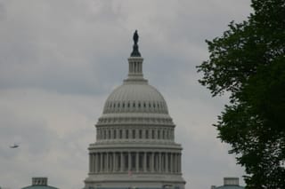 IMG_7162