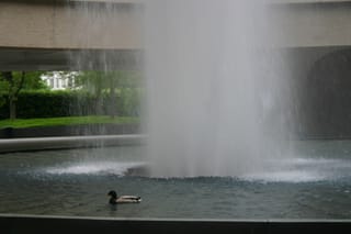 IMG_7170