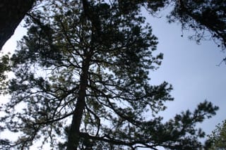 IMG_7199