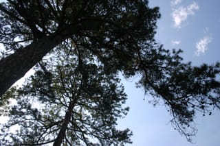 IMG_7200