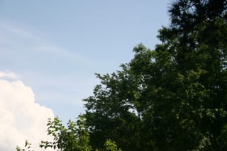IMG_7205