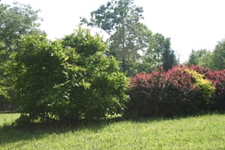 IMG_7183