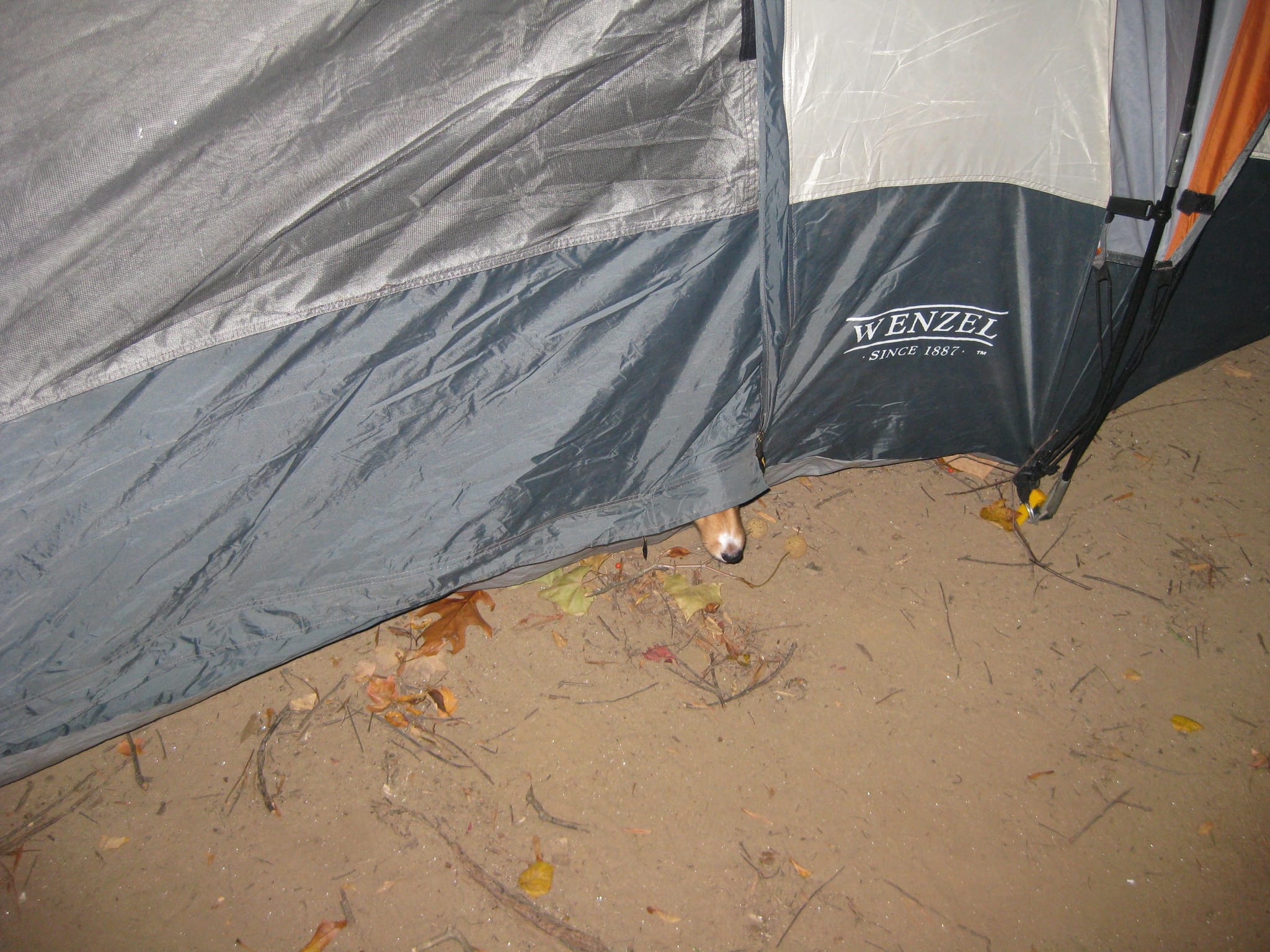 Camping in Hot Springs Nov 2008 015