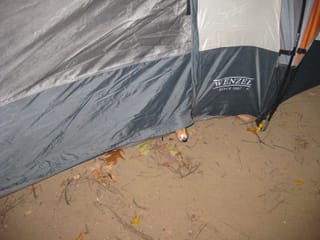 Camping in Hot Springs Nov 2008 015