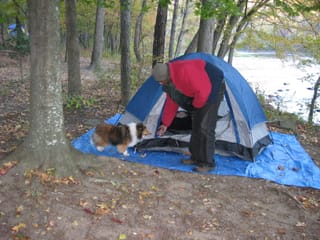 Camping in Hot Springs Nov 2008 023
