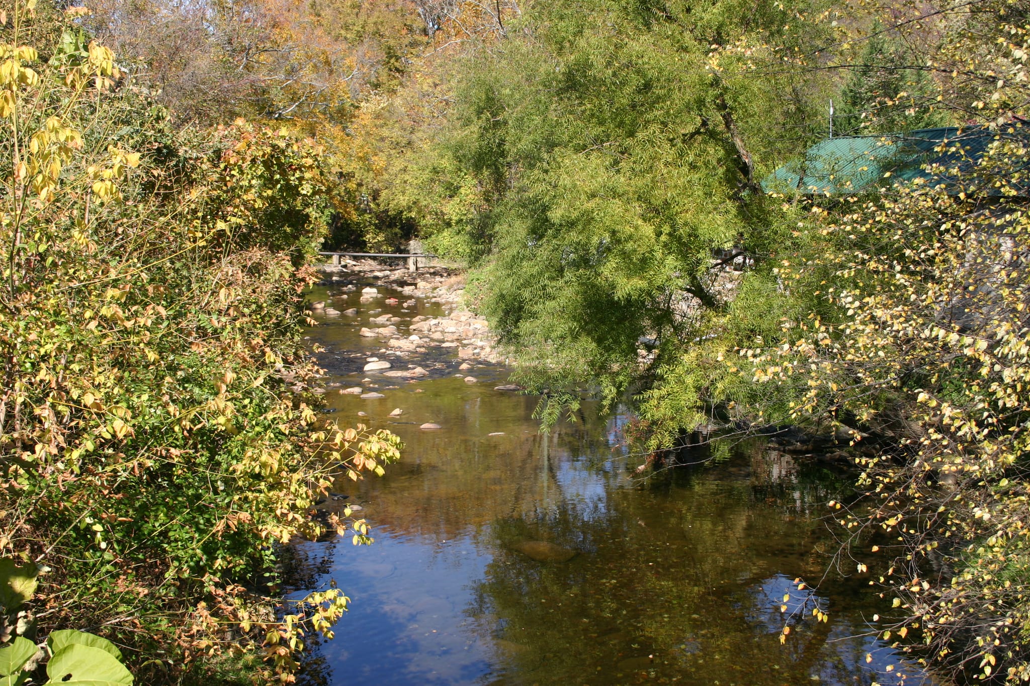 Hot Springs Oct 08 120