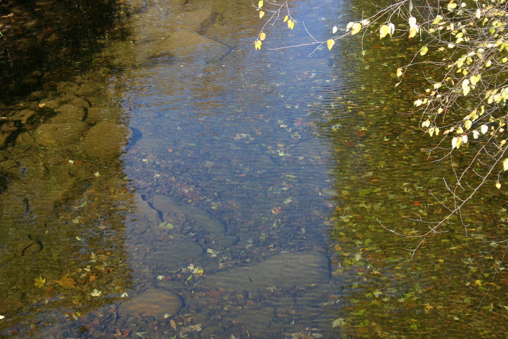 Hot Springs Oct 08 131