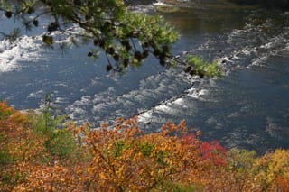 Hot Springs Oct 08 172
