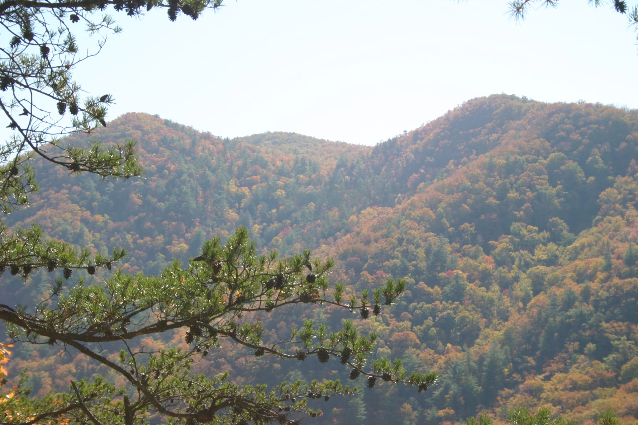 Hot Springs Oct 08 174