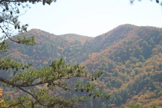 Hot Springs Oct 08 174