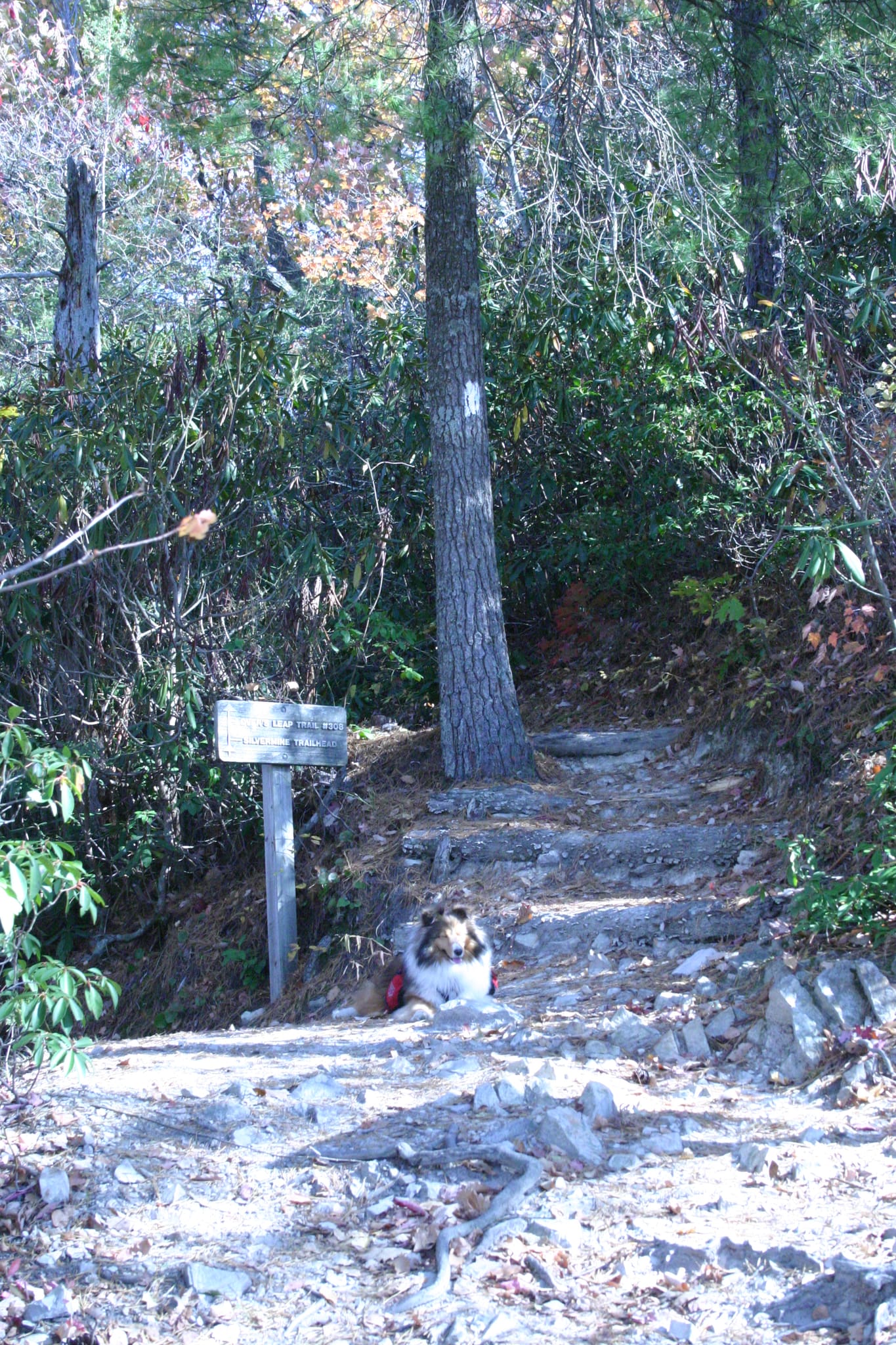Hot Springs Oct 08 192