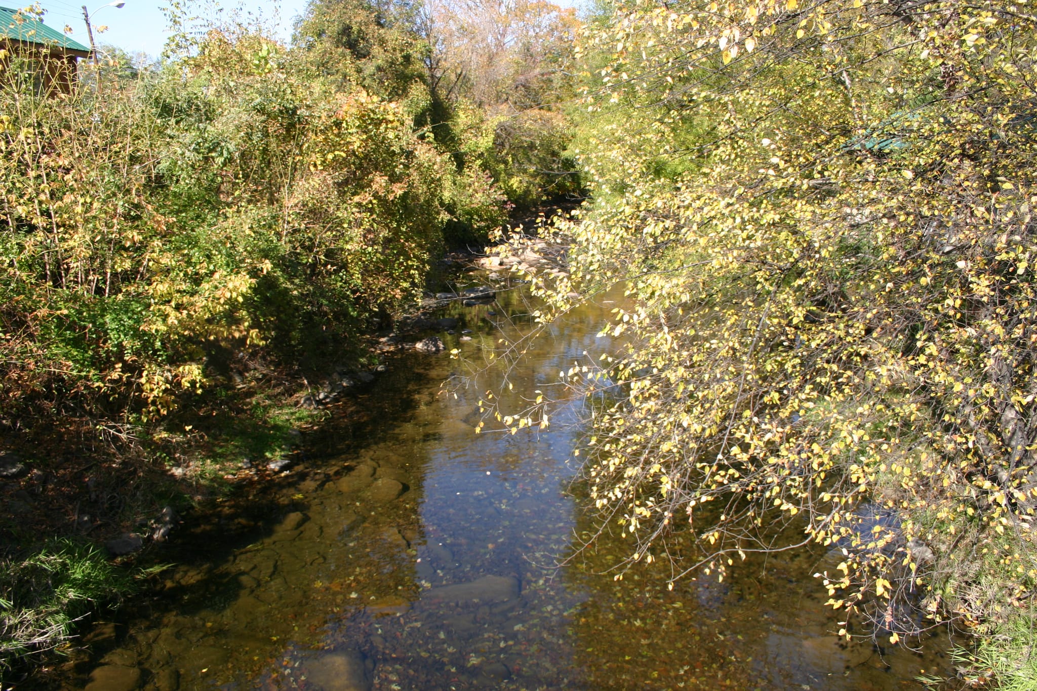 Hot Springs Oct 08 123