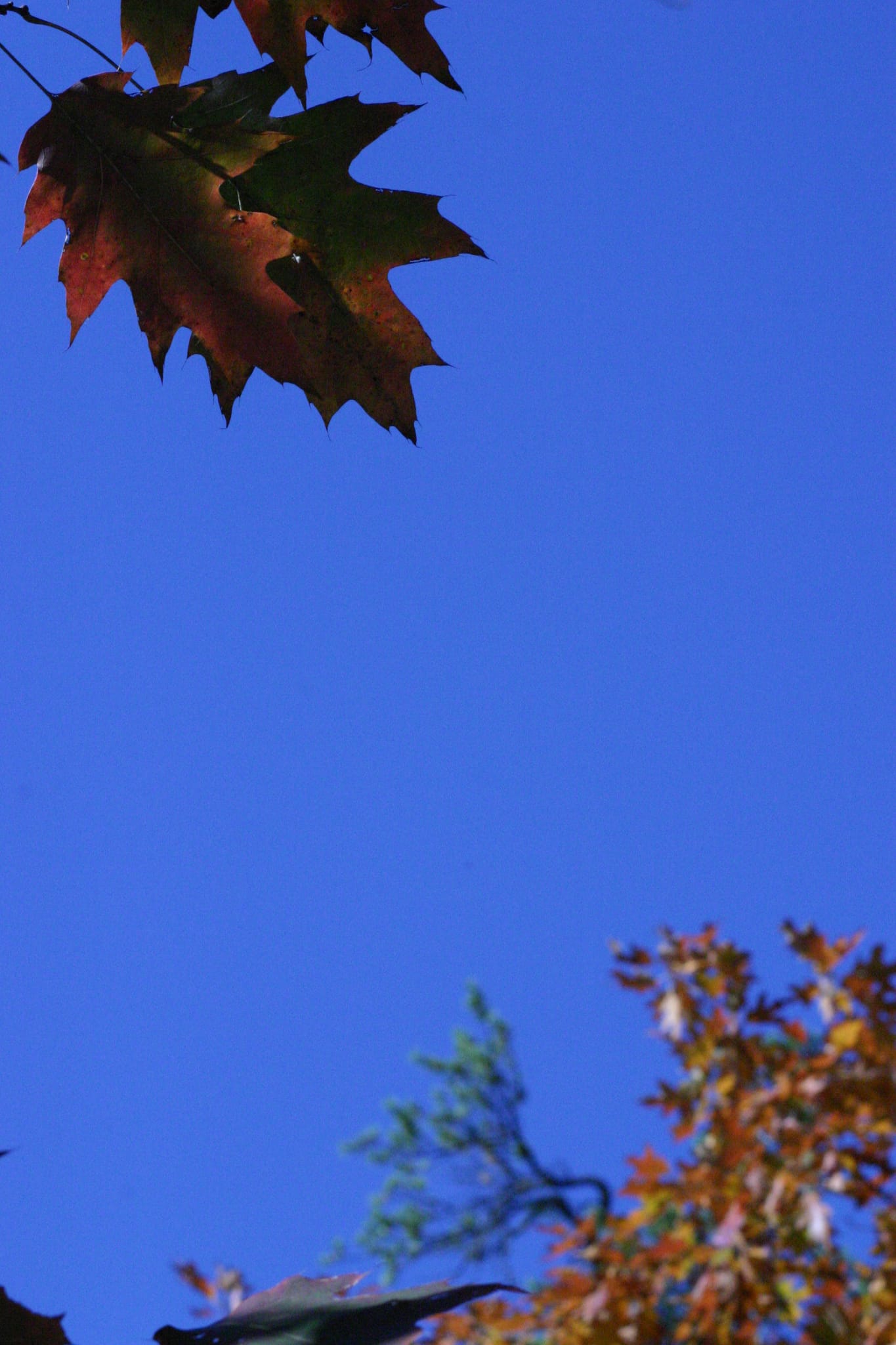 Hot Srings Oct 08 165