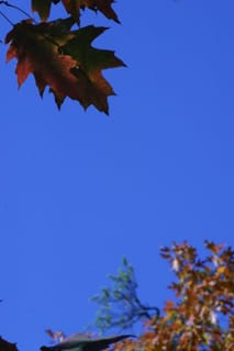 Hot Srings Oct 08 165