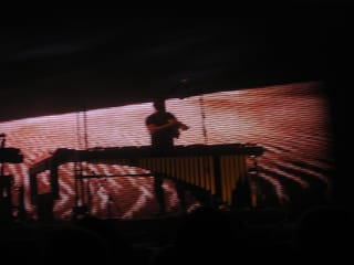 Nine Inch Nails Concert Nov. 08 048