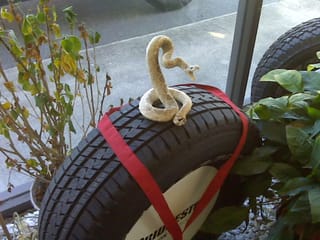 snakeOnTire