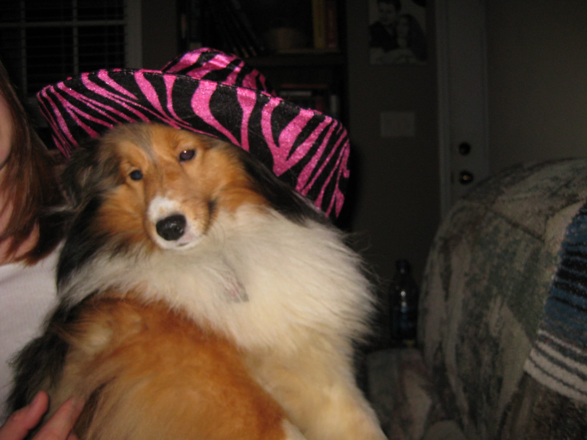 Roxy pink cowboy hat