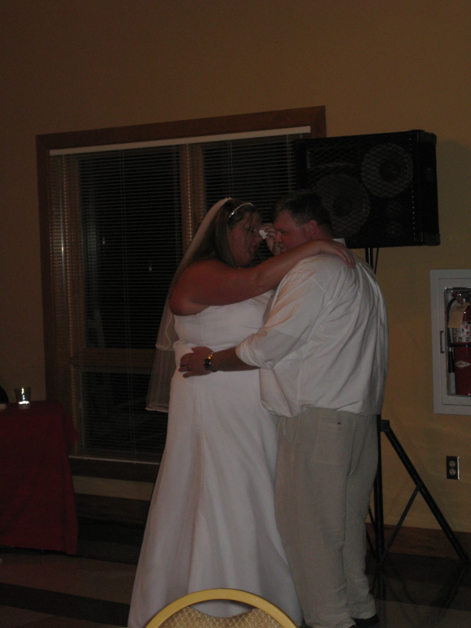 Amy and Brian's Wedding Reception