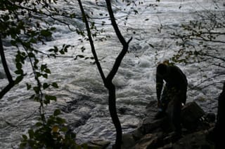 2004070 164