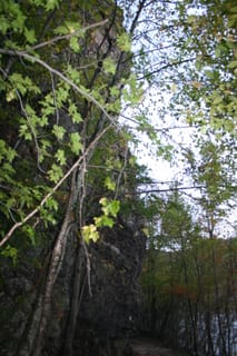 Hot Springs - hiking