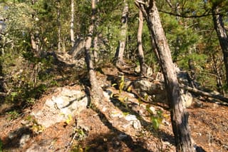 2004070 108