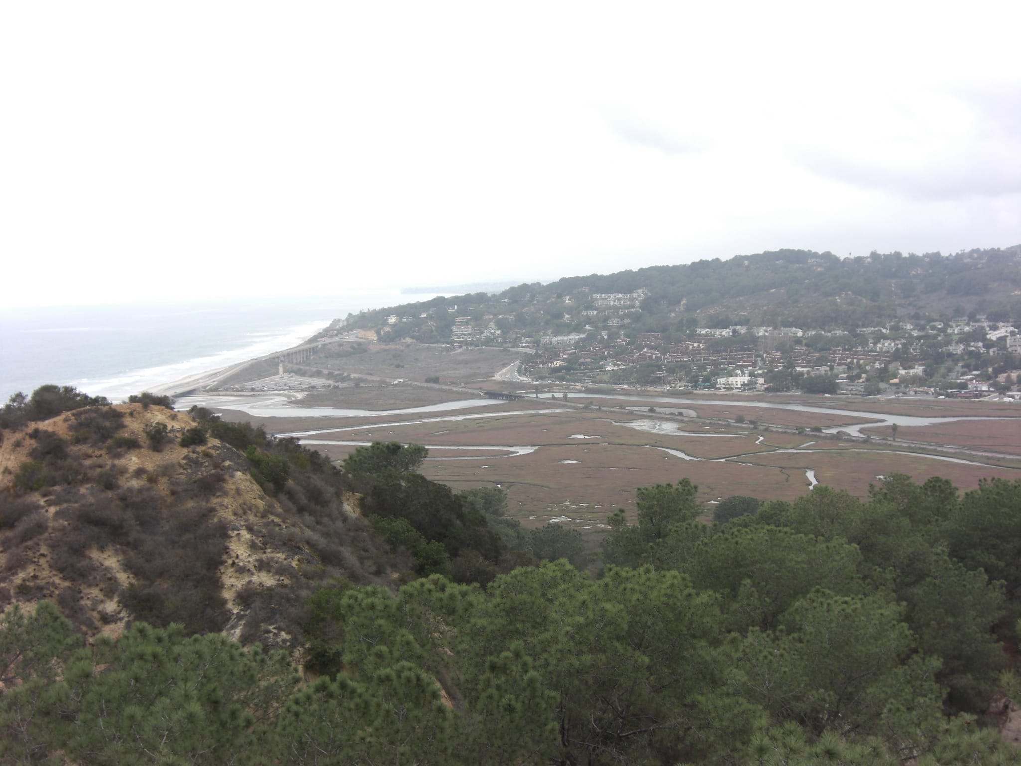 Torrey Pines State Park 1