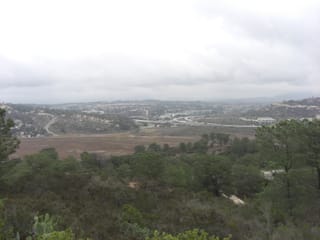 Torrey Pines State Park 3