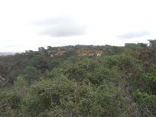 Torrey Pines State Park 7