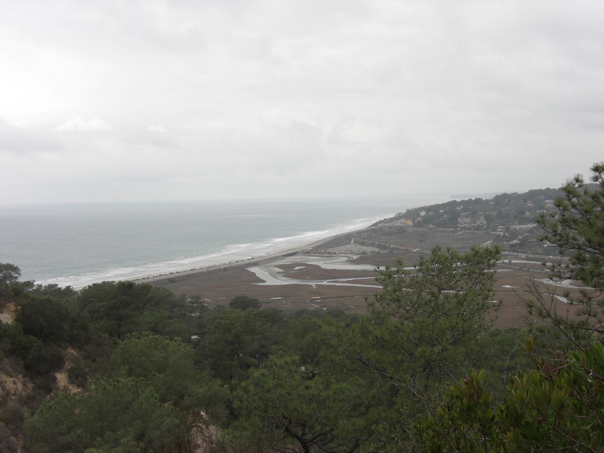 Torrey Pines State Park 8