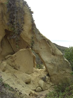 Torrey Pines State Park 17