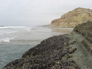 CIMG2440
