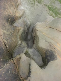 Worn Footsteps