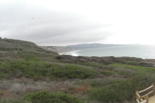 Torrey Pines