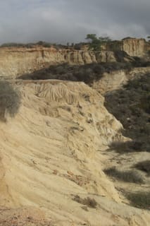 Dunes at Torrey Pines