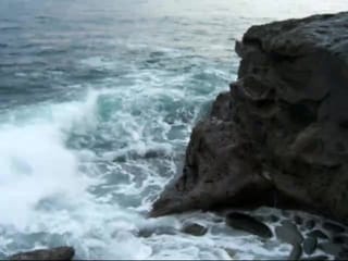 San Diego Shore
