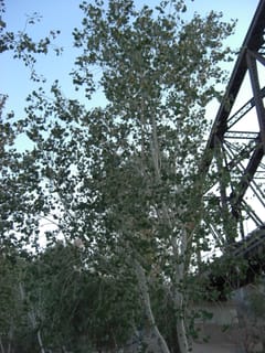 CIMG2195