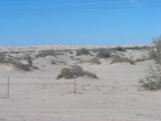 CIMG2224